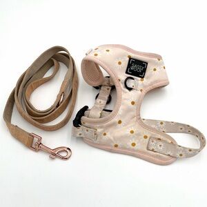 Sassy Woof Dainty Daisy Adjustable Harness Size XS and Pinot Fabric Leash